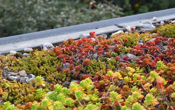 the cost of Oxlode green roof installation