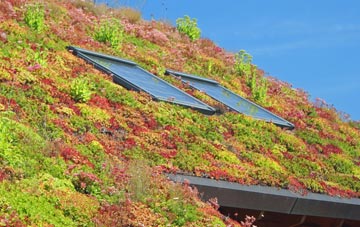 Oxlode living roof systems